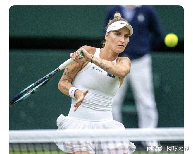 也纷纷效仿 也纷纷效仿