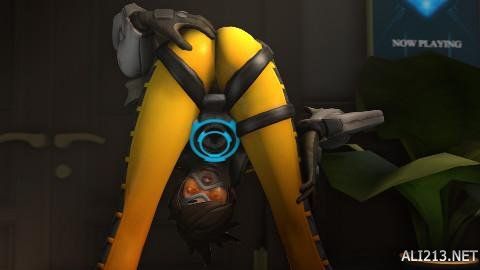 牛则在逆境 牛则在逆境